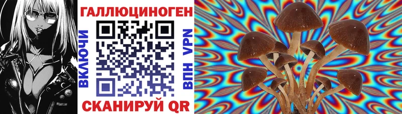 купить  цена  Далматово  Галлюциногенные грибы Magic Shrooms 